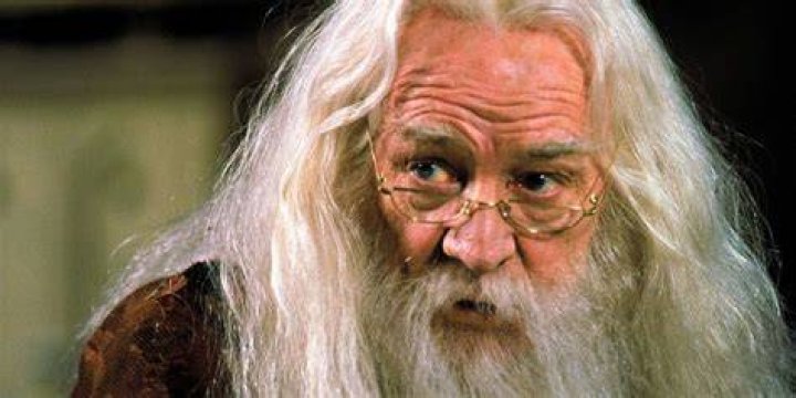 Albus Dumbledore: The Legacy of Richard Harris
