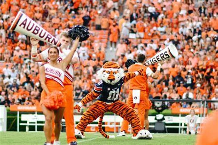 Auburn247: Your Go-To Source for Auburn Tigers News and Updates