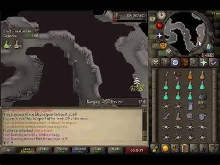 Bears in OSRS: A Comprehensive Guide to Understanding and Hunting
