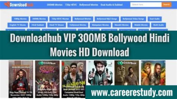 DownloadHub 300MB: Your Ultimate Guide to Fast and Easy Downloads