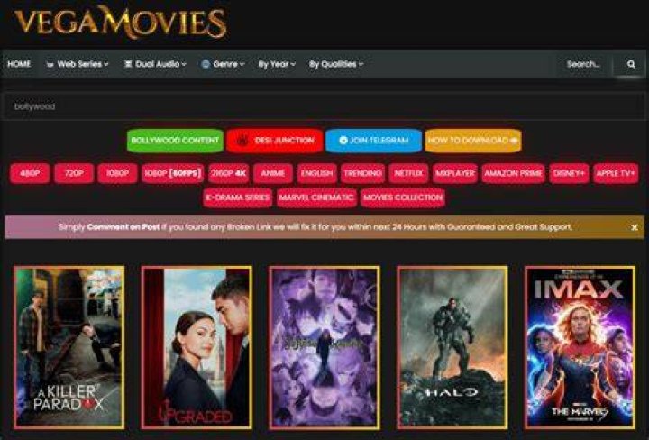 Ultimate Guide to Vegamovies: Hindi Dubbed Movies for Everyone